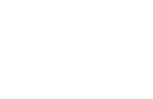 die-druckwerker-logo